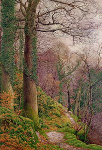 Un chemin dans les bois